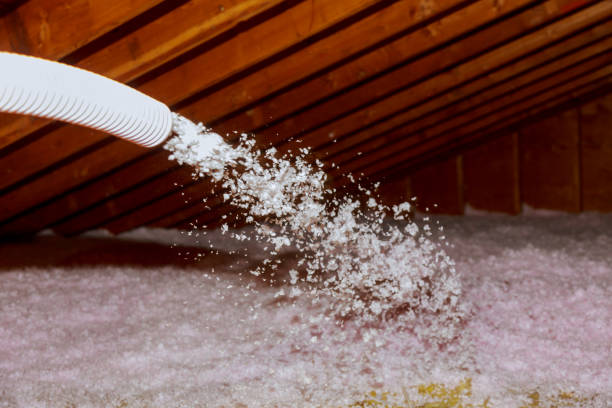 Best Geographic-Specific Insulation Services in Reno, NV