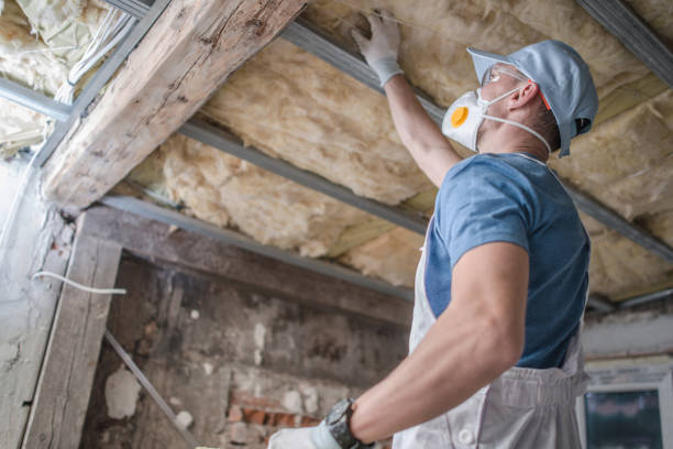 Best Insulation for Specific Applications in Reno, NV