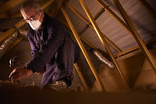 Best Specialized Insulation Services in Reno, NV